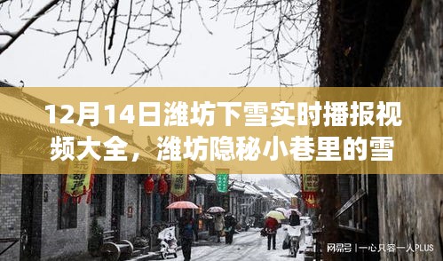 潍坊雪落奇缘，隐秘小巷美食探秘与飘雪实时播报视频集锦