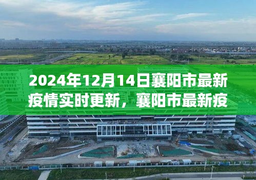 2024年12月14日襄阳市疫情实时更新报告，聚焦最新情况与要点分析