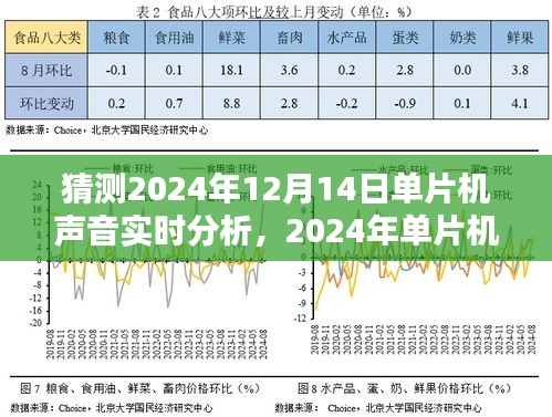 2024年单片机声音实时分析技术革新与领域影响深度探究，展望未来的声音处理分析之路