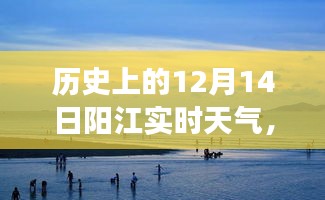 温馨冬日故事，历史上的阳江实时天气回顾——阳江记忆中的十二月十四日