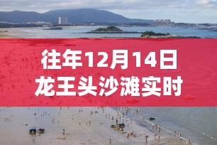 2024年12月17日 第14页