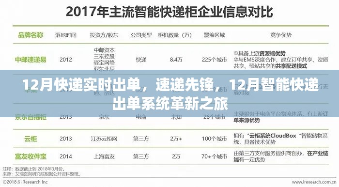 2024年12月17日 第13页