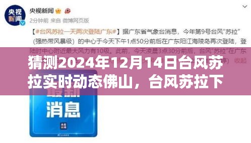 台风苏拉影响下的佛山温情时光，一家人的奇妙经历与实时动态预测（猜测日期）