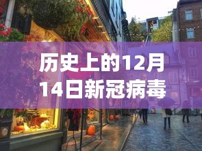 历史上的十二月十四日新冠病毒实时动态，探秘小巷特色小店与疫情变迁之旅