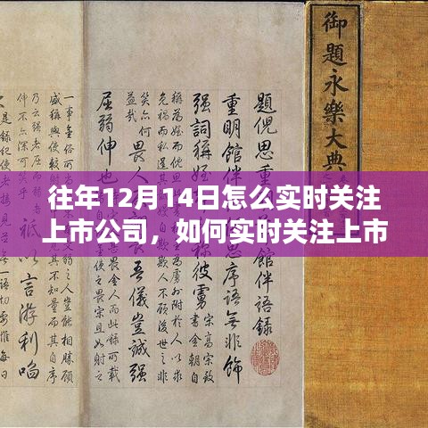 如何实时关注上市公司动态，以12月14日为例的详细步骤与策略指南