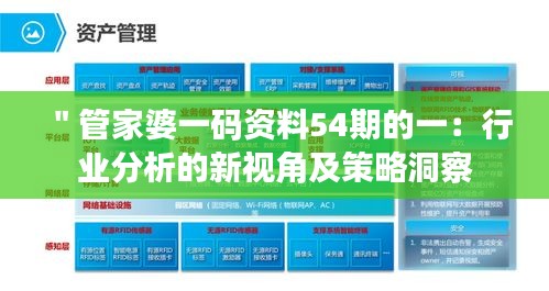 ＂管家婆一码资料54期的一：行业分析的新视角及策略洞察