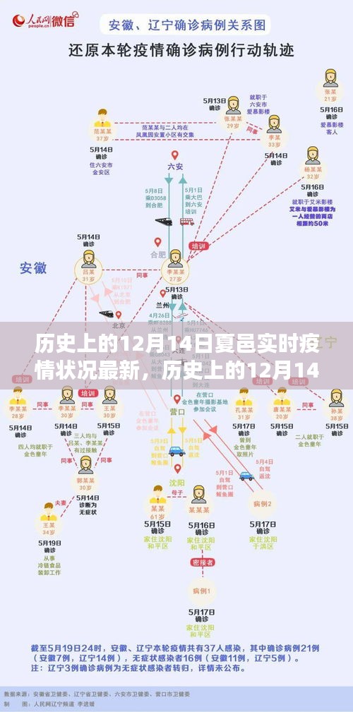 历史上的12月14日夏邑实时疫情状况最新分析与观点阐述