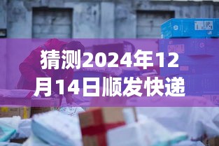 探秘未来快递之旅，顺发快递的奇妙追踪之旅（预测至2024年12月14日）