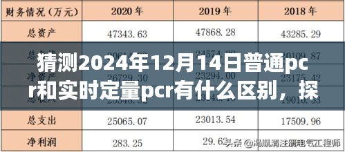 建议，探秘小巷深处的特色小店，普通PCR与实时定量PCR的奥秘差异之旅（预测至2024年）