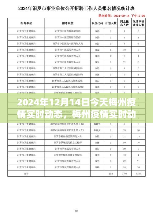 2024年12月14日梅州疫情实时动态，今日聚焦与未来展望