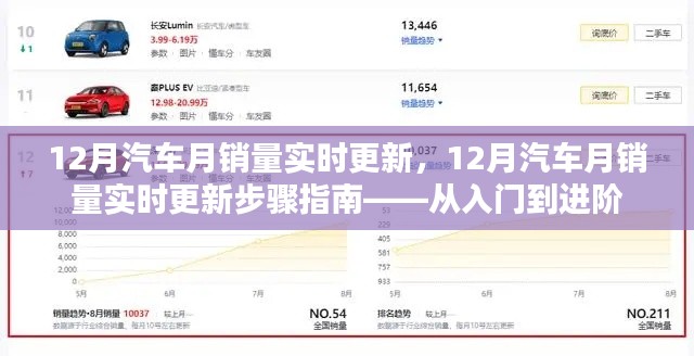 从入门到进阶，12月汽车销量实时更新指南