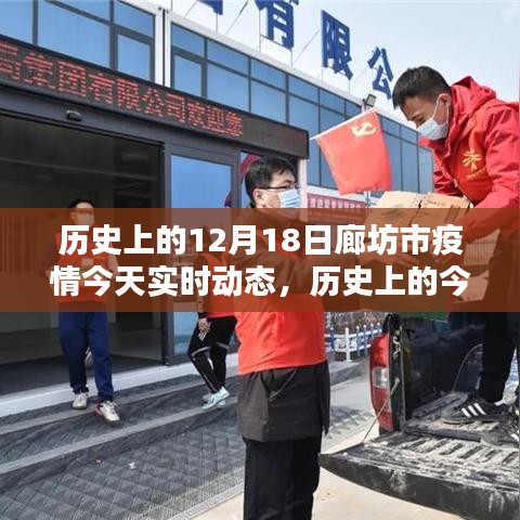 历史上的今天与廊坊市疫情实时动态，深度解析与案例分析