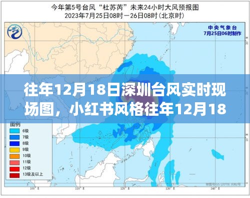 小红书风格往年台风下的深圳瞬间，风雨中的美景与感动时刻纪实