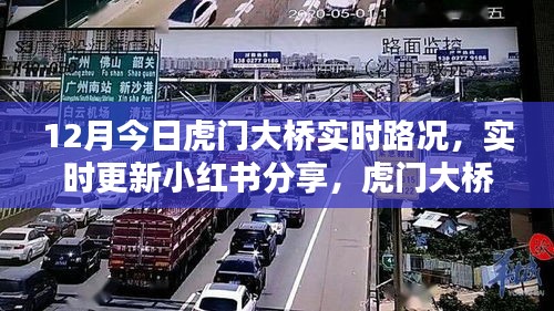 12月最新虎门大桥实时路况播报与小红书分享