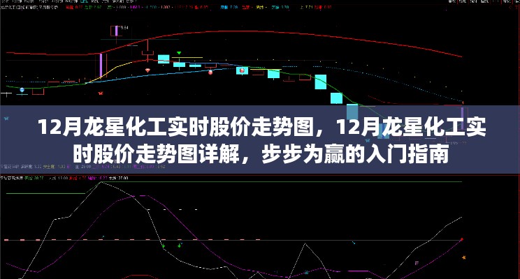 12月龙星化工实时股价走势详解与入门指南