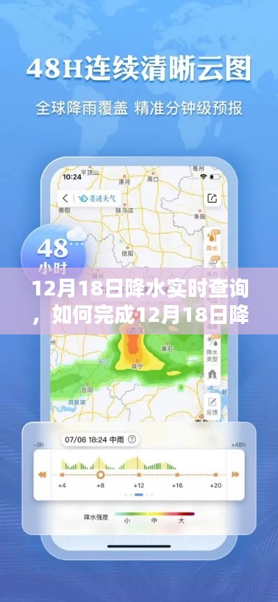 详细步骤指南，如何完成12月18日降水实时查询