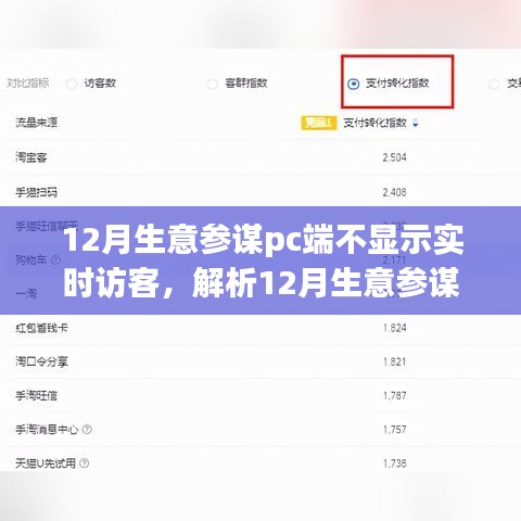 12月生意参谋PC端实时访客不显示现象解析，原因与观点探讨