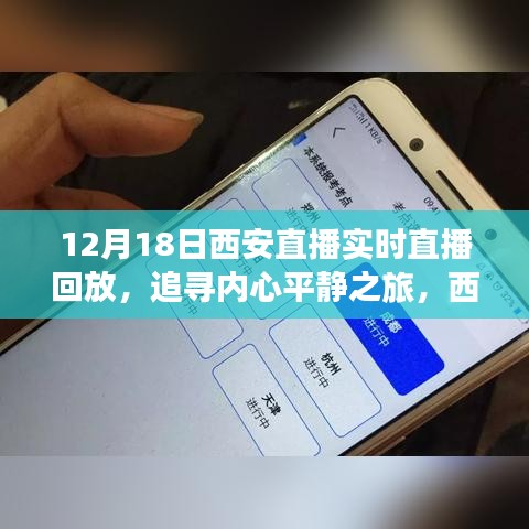 追寻内心平静之旅，西安直播回放自然美景探索之旅