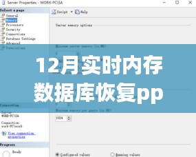 十二月实时内存数据库恢复技术探索及其影响答辩PPT展示