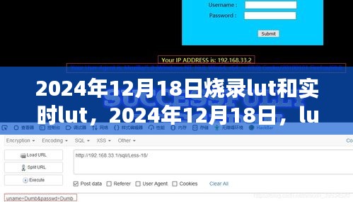 2024年12月18日，LUT烧录与实时LUT技术的重要里程碑