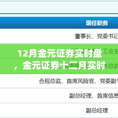 深度解读市场动向与投资策略，金元证券十二月实时盘走势分析