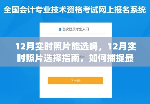 12月实时照片选择指南，如何捕捉最佳瞬间并精选照片