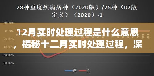 揭秘十二月实时处理过程，深度解读实时数据处理含义、应用与实时性处理流程