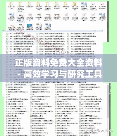 正版资料免费大全资料 - 高效学习与研究工具