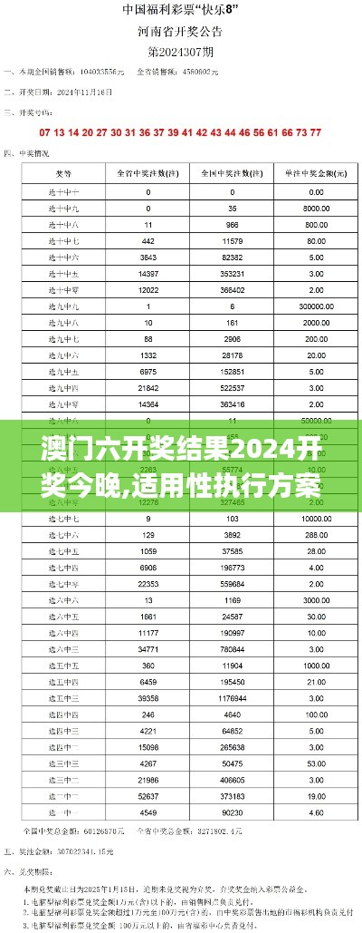 澳门六开奖结果2024开奖今晚,适用性执行方案_静态版16.932