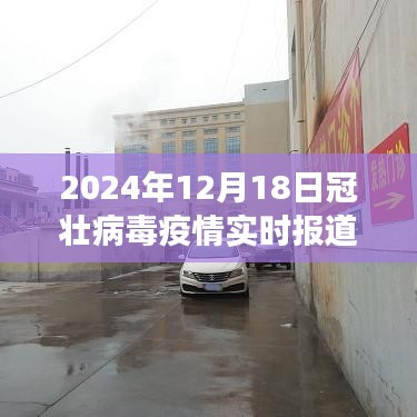 全球冠状病毒疫情实时报道，防控进展与前景展望（2024年12月18日）