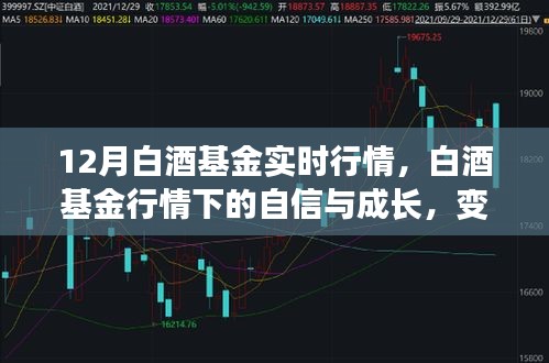 12月白酒基金实时行情，机遇、成长与力量的变化