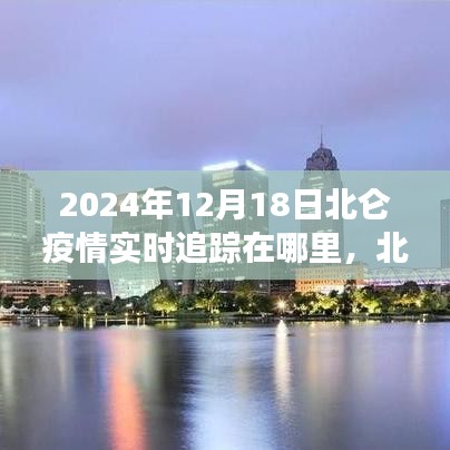 北仑疫情实时追踪最新动态及关键信息解读（截至2024年12月18日更新）