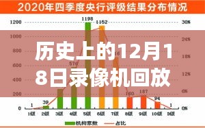 2024年12月19日 第10页