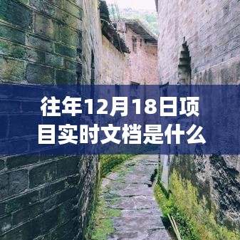 探秘往年12月18日项目实时文档，小巷深处的隐藏宝藏背后的故事之旅