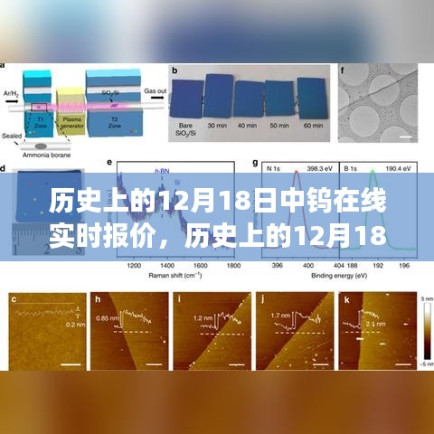 历史上的12月18日中钨在线实时报价背后的励志故事