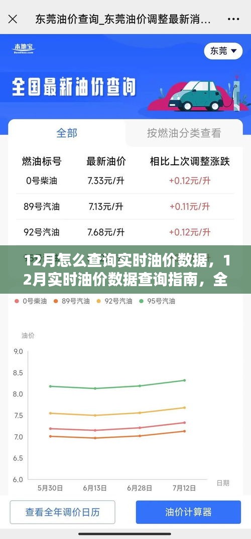 12月实时油价数据查询指南，全面评测与深度介绍