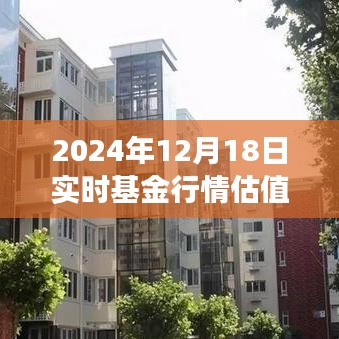 实时基金行情估值查询网，洞悉未来基金行情风向标