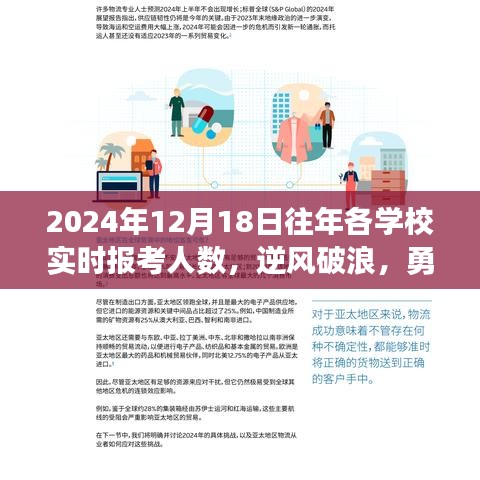 揭秘，2024年高校报考背后的逆风破浪与勇攀高峰故事纪实