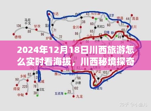 川西探秘之旅，海拔之巅与隐秘小店的实时体验指南（2024年12月版）