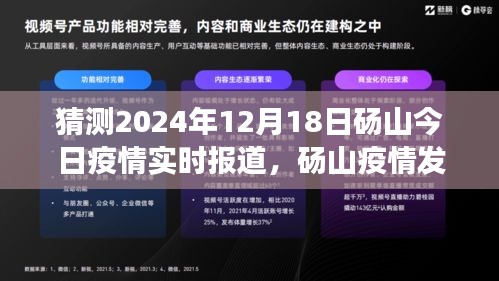 2024年12月18日砀山疫情实时报道与分析，发展预测及聚焦