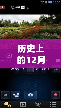 2024年12月20日 第6页