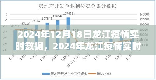 全面教程，龙江疫情实时数据查询指南（从新手到进阶，附2024年12月18日实时数据）