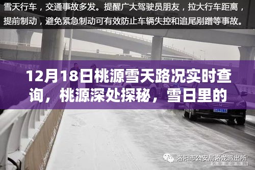 12月18日桃源雪天路况实时查询，探秘雪日独特小店，路况指南助你前行