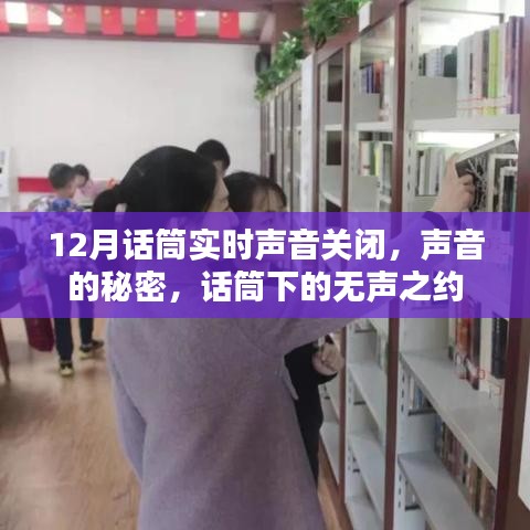 话筒无声之谜，揭秘声音的秘密与实时关闭的奥秘