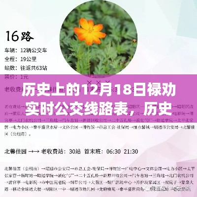 探寻公交变迁足迹，历史上的禄劝公交线路实时表（12月18日）