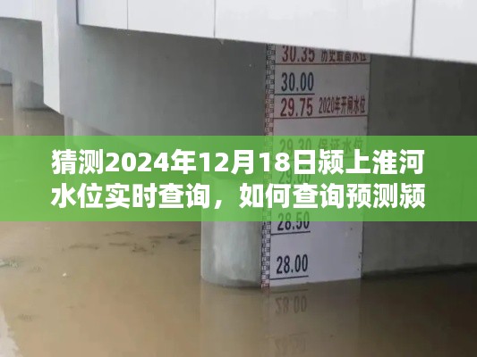 初学者版，如何查询预测颍上淮河水位实时信息及预测分析（2024年12月18日实时更新）