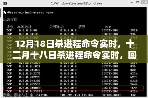 十二月十八日杀进程命令实时，回顾与探析