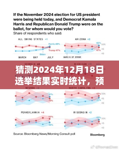 2024年选举结果实时统计预测与分析