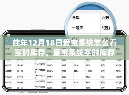 爱宝系统实时库存查询指南，从初学者到进阶用户的查询步骤解析