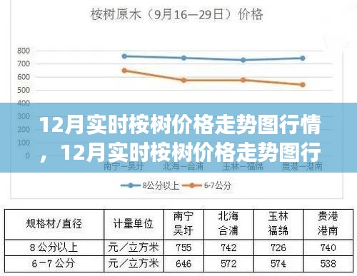 12月桉树价格走势图行情分析及市场预测